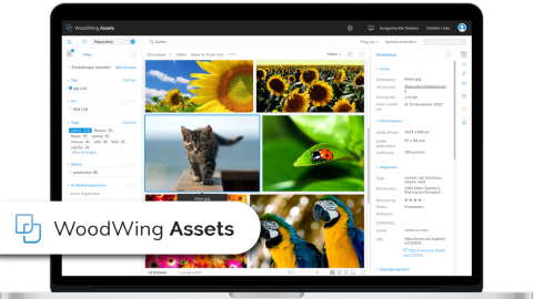 WoodWing Assets